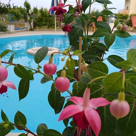 Creta Sun Aparthotel 2*